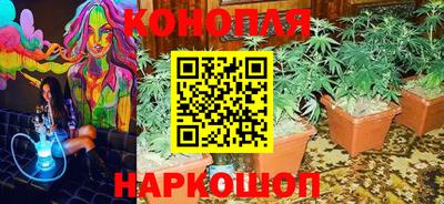сатива Заволжье