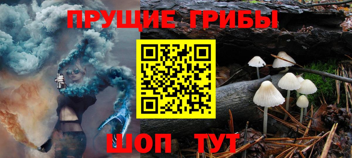 Михайловка  Галлюциногенные грибы Cubensis  Вход с VPN 
