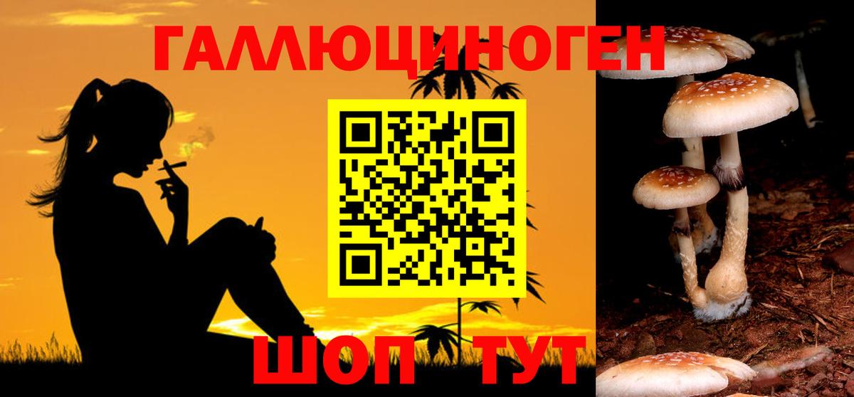 Псилоцибиновые грибы мицелий Михайловка